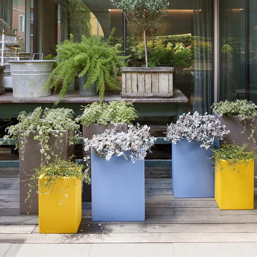 Perk Up Your Planters